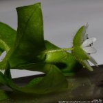 FSC_1443.jpg