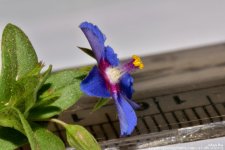 FSC_1450.jpg