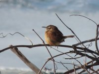 DSCN9128.jpg