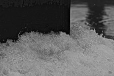_DSC8081-1.jpg