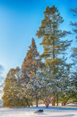 D610#2 W. Prom. 24-70-Winter HD5b.jpg