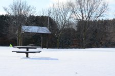 DSC_2128.jpg