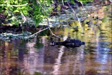 DSC_8037.jpg