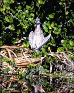 DSC_8044.jpg