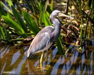 DSC_8089.jpg