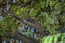 FSC_1599.jpg