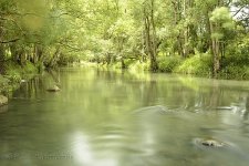 15A_8600_webshot.jpg