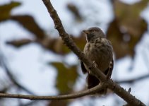 DSC_5401.jpg