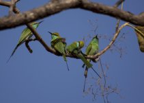 DSC_5463.jpg
