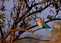 DSC_5761.jpg