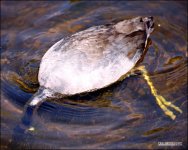 DSC_8068.jpg