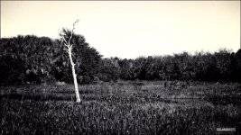 DSC_8155.jpg