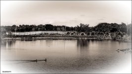 DSC_8194.jpg