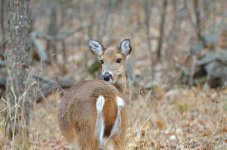 DSC_0875.jpg