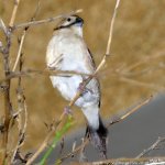 FSC_1626.jpg