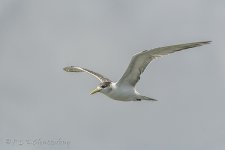 15A_8442_webshot.jpg
