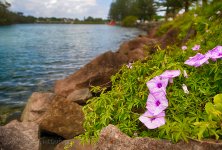 15A_8560_HDR_webshot.jpg