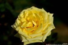 FSC_1681.jpg