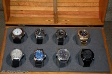 DSC_6518.jpg