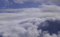 _DSC9227.jpg