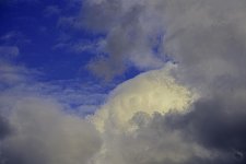 _DSC9425.jpg