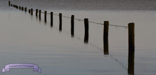 biesbosch 0001.JPG