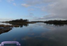 biesbosch 0002.jpg