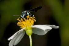 DSC_8448.jpg