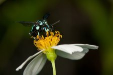 DSC_8450.jpg