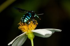 DSC_8452.jpg