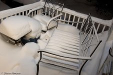 DSC_6562.jpg