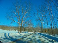 DSC00202.jpg