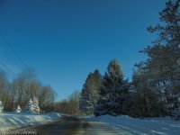 DSC00204.jpg