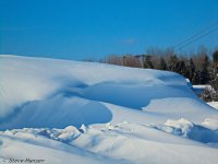 DSC00208.jpg