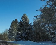 DSC00204-01.jpg
