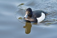 DSC_3129.jpg