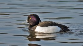 DSC_3147.jpg