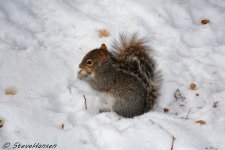 DSC_6111.jpg