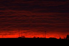710_8781.jpg