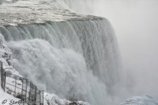 DSC_6103.jpg