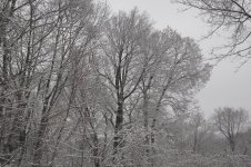 _AAA4296 - Version 2 - 2015-01-24 at 10-03-01.jpg