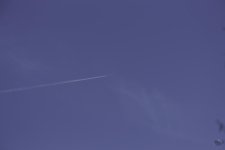 _DSC9607-2.jpg