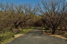 agua_c-path-a.jpg