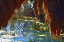agua_c-reflect-a.jpg