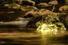 15A_8731_HDR2#2_webshot.jpg