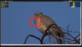 Screen Shot 2015-02-16 at 11.28.27.jpg