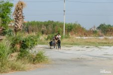 countryside-6.jpg