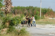 countryside-7.jpg