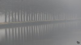 _DSC9980.jpg