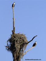 _DSC6875.jpg